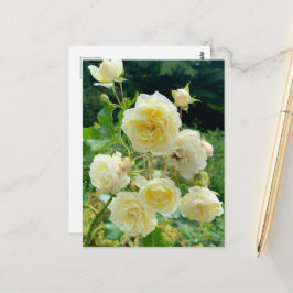 Gelbe Rose Postkarte ポストカード