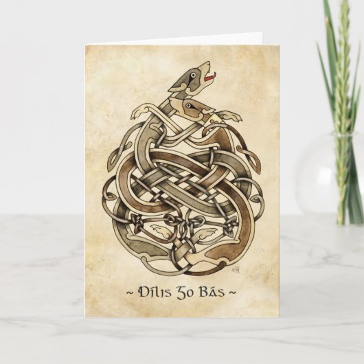 Gelert カード (正面)