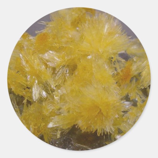 gem2 カスタマイズ -  ラウンドシール (正面)