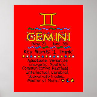 GEMINIポスター ポスター