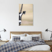 「Gemsbock（ゲムズボック）」、「Oryx gazella（オリーブ）」とも呼ばれるオリックス キャンバスプリント (インサイチュ (寝室))