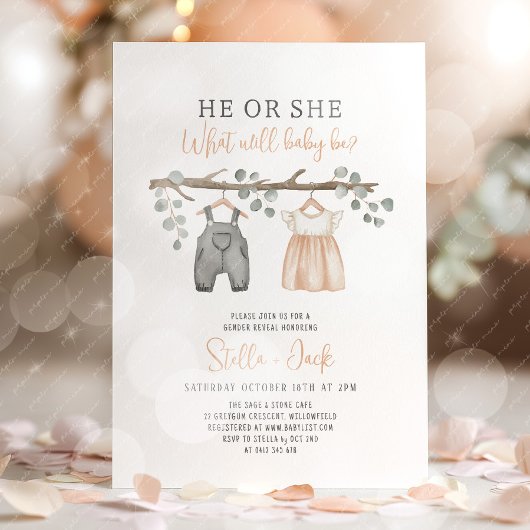 Gender Reveal He or She Clothesline  招待状