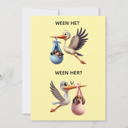 GENDER REVEAL PARTY 招待状 (正面)