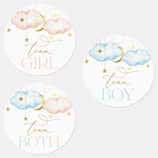 Gender Reveal Stickers、Team Boy、Team Girl ラベル (グループ)