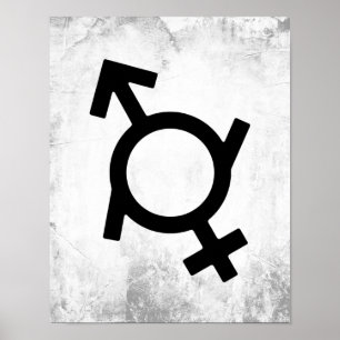 Genderfluid Gender Symbol ポスター