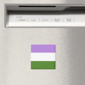 Genderqueer Pride Flag  マグネット (インサイチュ (食洗機))