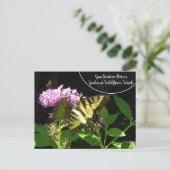 Gene Stratton Porter's Garden at Wildflower Woods ポストカード (スタンド正面)