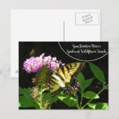 Gene Stratton Porter's Garden at Wildflower Woods ポストカード (正面/裏面)