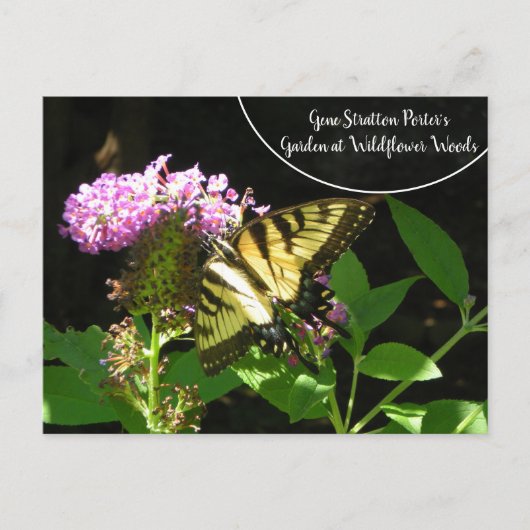 Gene Stratton Porter's Garden at Wildflower Woods ポストカード (正面)