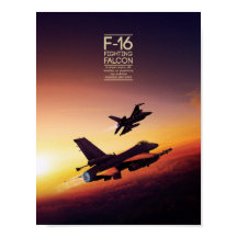 General Dynamics F-16 Fighting《鳥》ハヤブサポスター