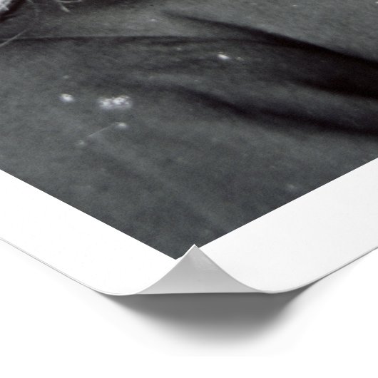 General George Crook (b/w photo) ポスター (角)