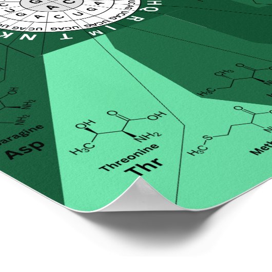 Genetic codon chart wheel of amino acids green ポスター (角)