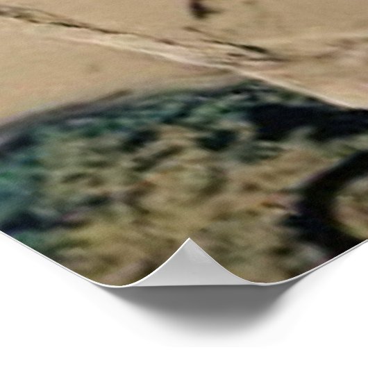 GENIE ポスター (角)