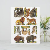 Geniune(AIではない)動物園ビクトリアン動物のフジイ切り (スタンド正面)