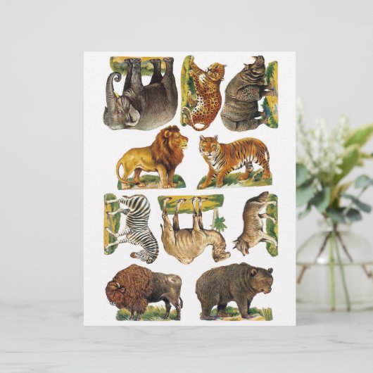 Geniune(AIではない)動物園ビクトリアン動物のフジイ切り (スタンド正面)