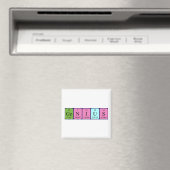 Genius周期表名磁石 マグネット (インサイチュ (食洗機))