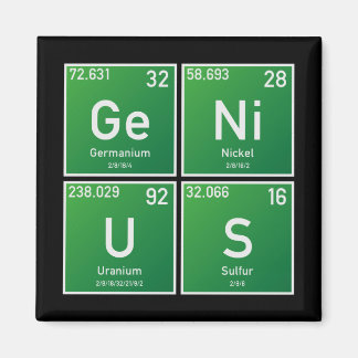 Genius PSEv マグネット