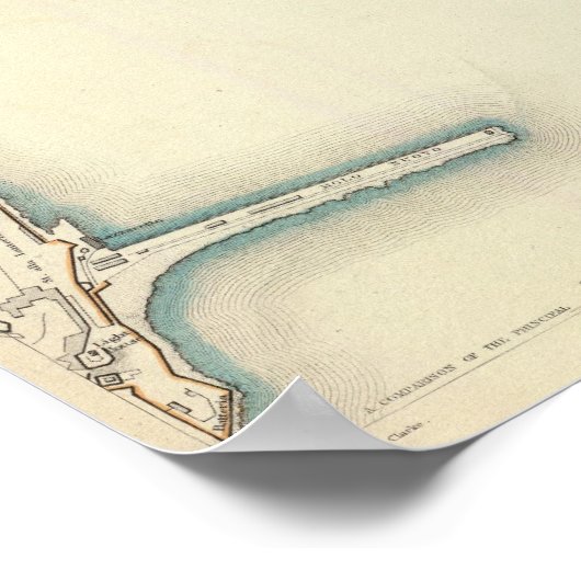 Genoa Genova Genes ポスター (角)