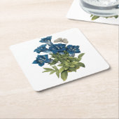 gentian(Gentianae acaulis)by Redoute スクエアペーパーコースター (アングル)