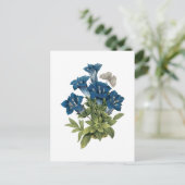 gentian(Gentianae acaulis)by Redoute ポストカード (スタンド正面)