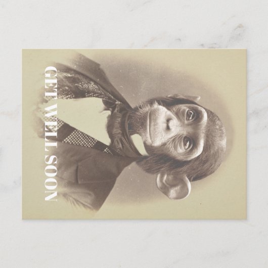 Gentle Chimpanzeeことわざ「Get Well Soon」 ポストカード (正面)