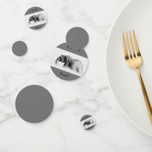 Gentle Giant Elephantの高鍵写真(文字付き)