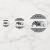 Gentle Giant Elephantの高鍵写真(文字付き) コンフェッティ (正面)