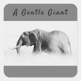 Gentle Giant Elephantの高鍵写真(文字付き) スクエアシール