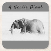 Gentle Giant Elephantの高鍵写真(文字付き) スクエアペーパーコースター (正面)