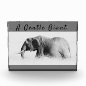 Gentle Giant Elephantの高鍵写真(文字付き) フォトブロック (正面)