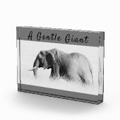 Gentle Giant Elephantの高鍵写真(文字付き) フォトブロック (右)