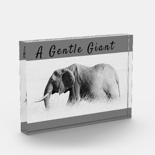 Gentle Giant Elephantの高鍵写真(文字付き) フォトブロック (左)