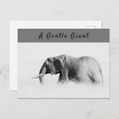 Gentle Giant Elephantの高鍵写真(文字付き) ポストカード (正面/裏面)
