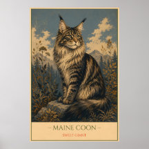 Gentle Giant: Maine Coon
