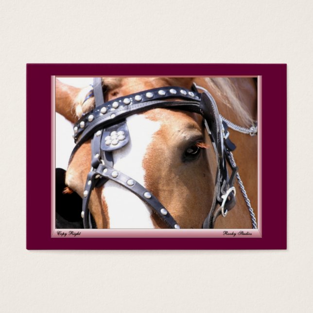 Gentle Giant Profile Card、カスタマイズ1 (正面)