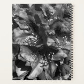 Gentle Lie プランナー手帳 (裏面)