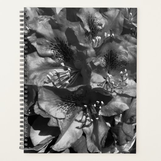 Gentle Lie プランナー手帳 (正面)