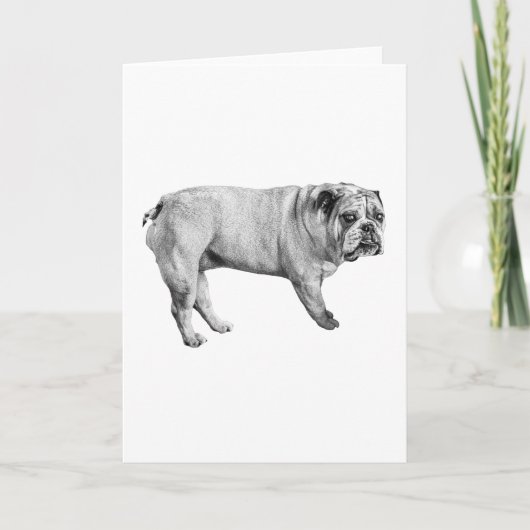 Gentle Look Bulldog Card カード (正面)