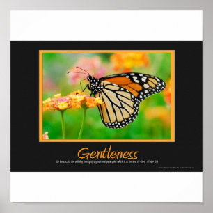 Gentleness ポスター