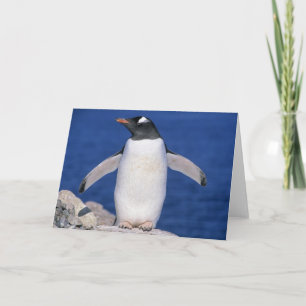 GentooのペンギンのPygoscelisのパプアの)港 カード