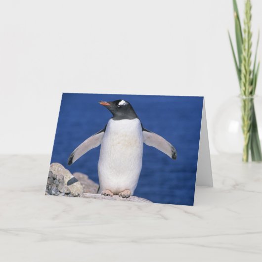 GentooのペンギンのPygoscelisのパプアの)港 カード (正面)