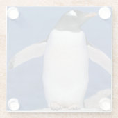 GentooのペンギンのPygoscelisのパプアの)港 ガラスコースター (裏面)