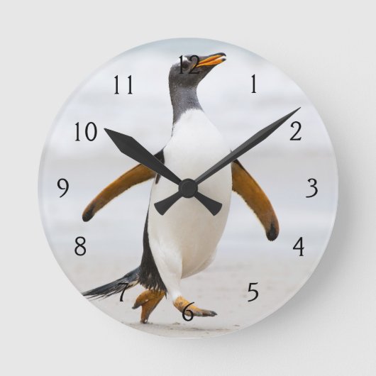 Gentooのペンギン ラウンド壁時計 (正面)