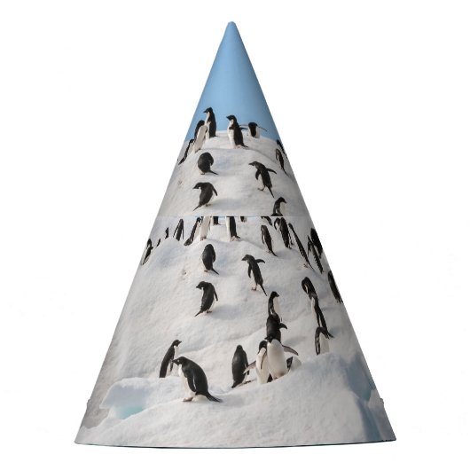 Gentooペンギン南極アイスバーグプレイタイム パーティーハット (正面)