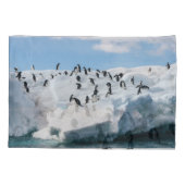 Gentooペンギン南極アイスバーグプレイタイム 枕カバー (裏面)