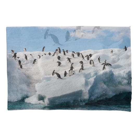 Gentooペンギン南極アイスバーグプレイタイム 枕カバー (正面)