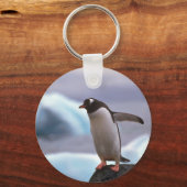 Gentooペンギン キーホルダー (正面)