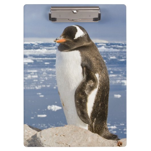 Gentooペンギン クリップボード (正面)