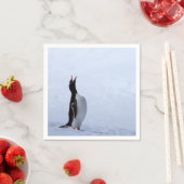 Gentooペンギン スタンダードカクテルナプキン (インサイチュ)