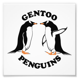 Gentooペンギン フォトプリント